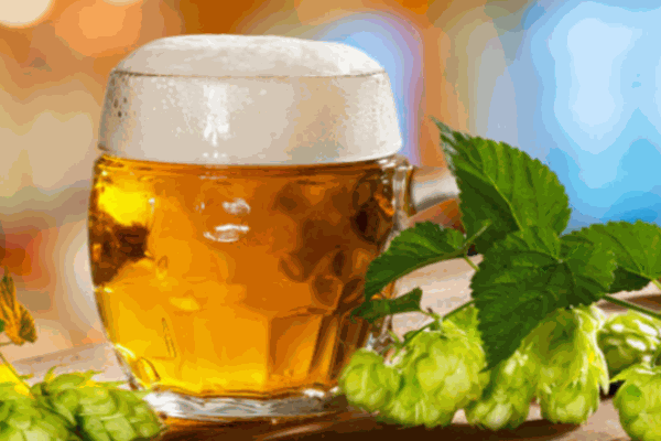 元·精酿啤酒坊